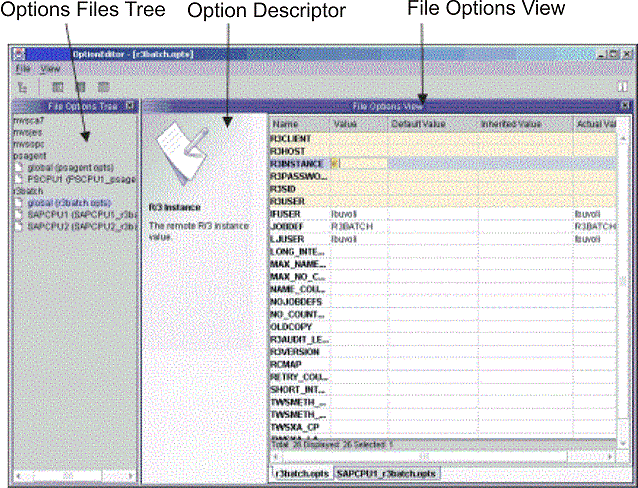 Option Editor window showing the three main areas